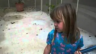 Little Tarantulas