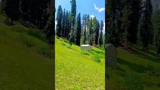 Natural Beauty Of Lalazar #shorts #shortsyoutube #vibes #travel #lalazar #kaghanvalleypakistan #yt