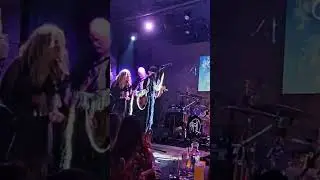 Tell Me Lies Tribute Band The Chain #fleetwoodmac #cover #tribute #shorts #livemusic #70smusic