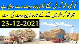 Sugarcane New Rates from Sugarcane Mills 2021 |Sugarcane New prices |Updated Sugarcane Rates 2021