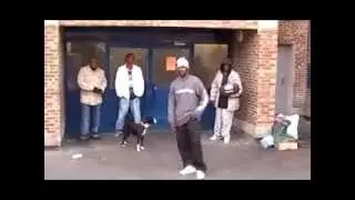 BiZoN CLAN HAUT STYLE - Tarter&ecirc;ts Muzik