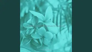 Tranquil Ambiance for Calm Vibes