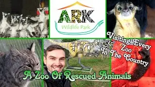 Ark Wildlife Park, A Zoo Of Rescued Animals