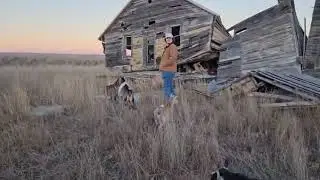 Urban exploring with the goats 