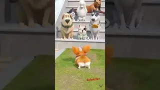 #animationAnimated dog comedyFunny Animals 2025- Cats and Dogs video #shorts​ #animals​ #short​