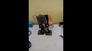 biped walking robot 4 servos
