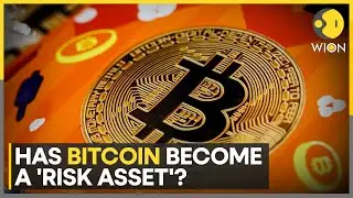 Bitcoin Rally Fades as Global Risk-Off Grows: 'Digital Gold' To 'Risk Asset' | WION