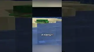 realistic turtles