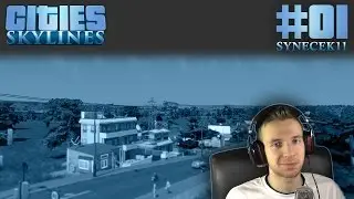 [60FPS] Cities Skylines ► Let's Play Česky ► #01 ► Synland ► synecek11