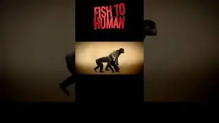 Fish to Human Evolution #biology #ncert #evolution #fish #class12
