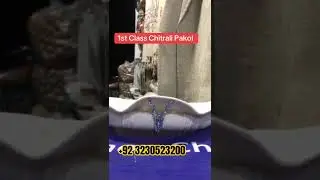 Top Quality Chitrali Cap | Original Peshawari Cap | Original Pathan Cap | Original Chitrali Cap
