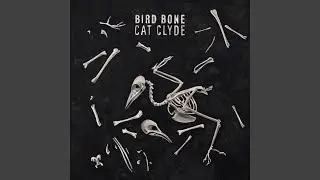 Bird Bone
