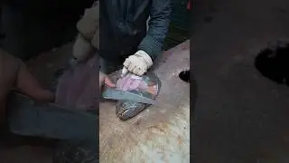 Terrifying Fish Skinning &ndash; Watch This Flounder Transform!