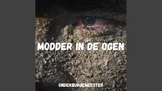 Themafeest