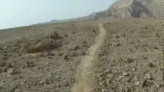 Timna Park Single