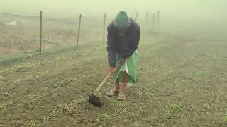 Rural Cooking Studio: Traditional Secrets Revealed! 🌿 (Authentic Village Food)