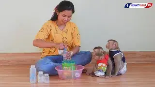 Tiny Olly Hug Sister Luna With Brother Kako Wait Mom Preparing Milk