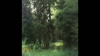 Pinegrove / Acoustic Indie Rock Type Beat - 