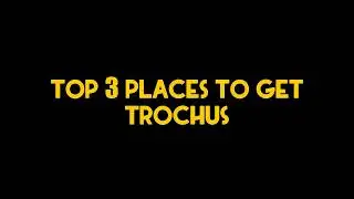 Top 3 Places To Get Trochus In Graal Online Era