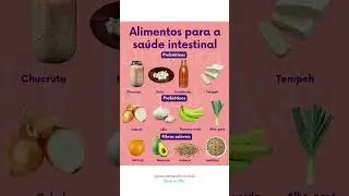 Probi&oacute;ticos, prebi&oacute;ticos e fibras sol&uacute;veis #saude #fibras #probioticos #drbarakat #intestino #dicas