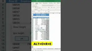 How to Increase the Row Height in Excel?