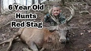 6 Year Old Hunts Red Stag at Mountain Meadow Hunting Preserve