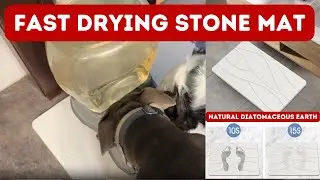 Absorbant and Natural Stone Bath, Kitchen, or Pet Water Bowl Mat