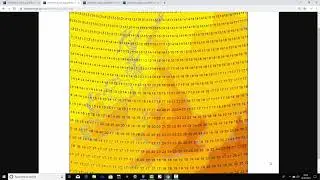 Third Late Summer Bank Holiday Weekend Update