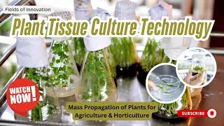 77 - Plant Tissue Culture Technology | Mass Propagation of Plants for Agriculture & Horticulture