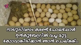 കറണ്ട് ഇല്ലാതിരുന്നപ്പോൾ ഇൻകുബേറ്ററിലെ മുട്ട കേടാവാതിരിക്കാൻ ചെയ്തത് | Incubator Tips
