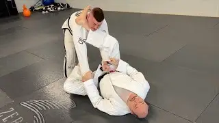 Spider Guard Follow Up