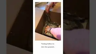 Optimum 9200 Vortex Blender Unboxing - Alexia Stevens