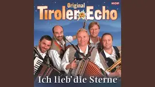 Der alte Holzknecht