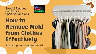 Stop Mold on Clothes   Easy Home Solution