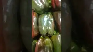 Peperoni Verdi e Rossi.