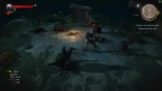 Witcher 3 - 