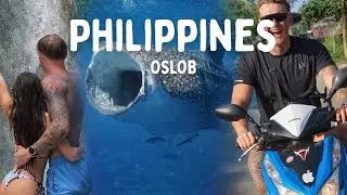 Whale Sharks, Canyoneering & the BEST Road Trip in the Philippines