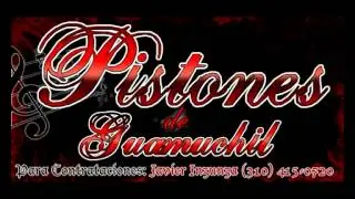 Dos Terrenos Prohibidos Pistones De Guamuchil