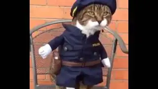 Vigilando