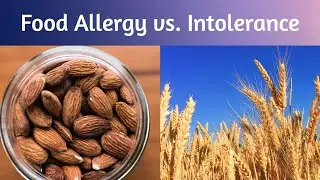 What's the Difference Between a Food Allergy and a Food Intolerance? | Schreiber Allergy