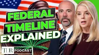Понимание реальных сроков изменения классификации каннабиса | TDR Cannabis in 5