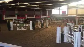 8y.o mare CHIARA (by Captain Fire x Levantos I) EY CUP U25 135cm, Linz (Austria)