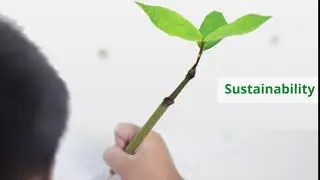 Reimagine Education Campaign - Sustainability
