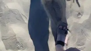 Walking on the Dunes