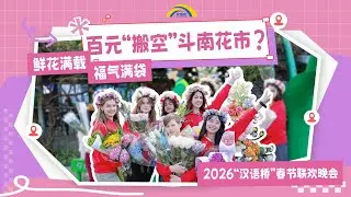 百元“搬空”斗南花市？