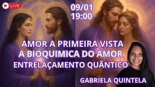 AMOR A PRIMEIRA VISTA A BIOQUIMICA DO AMOR ENTRELA&Ccedil;AMENTO QUANTICO GABRIELA QUINTELA