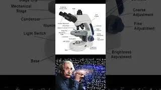 parts of a compound microscope 🔬 #shorts #physics #physicsexperiment #viral #facts