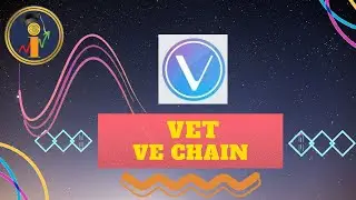 VET Ve Chain Update