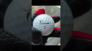 A close look at Bison X