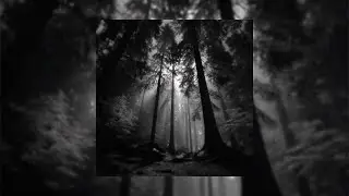 SHXVT - ecstasy